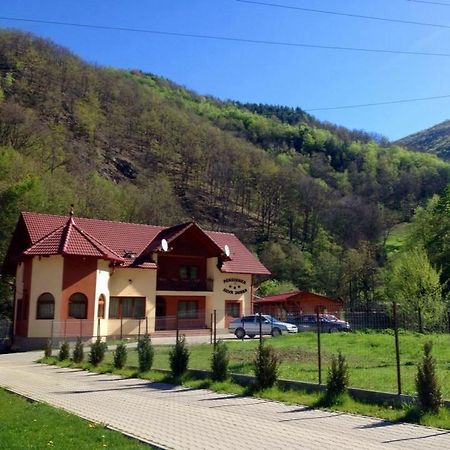 Pensiunea Silva Dobra Sugag Luaran gambar