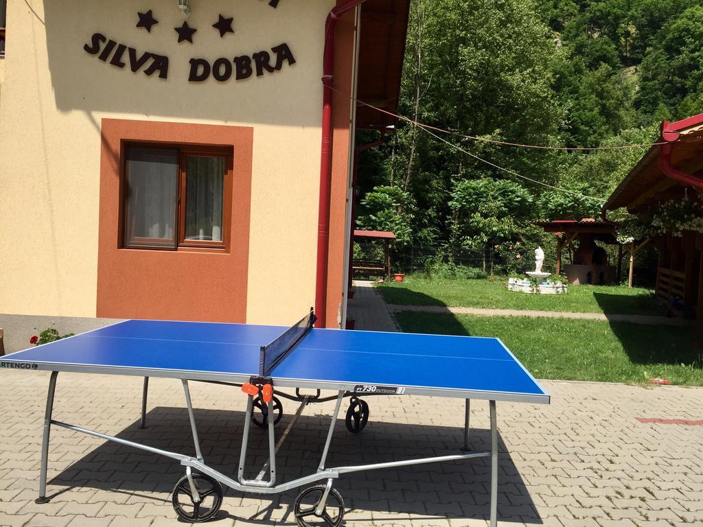 Pensiunea Silva Dobra Sugag Luaran gambar