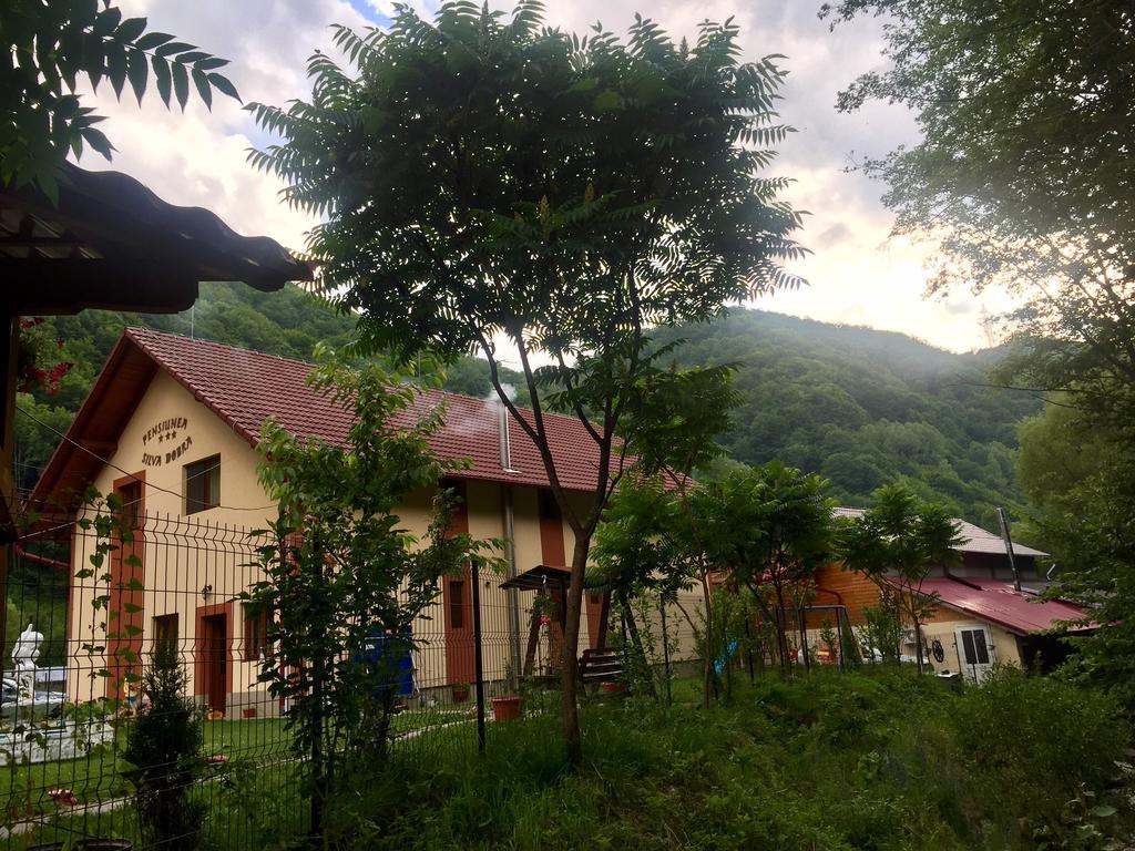 Pensiunea Silva Dobra Sugag Luaran gambar