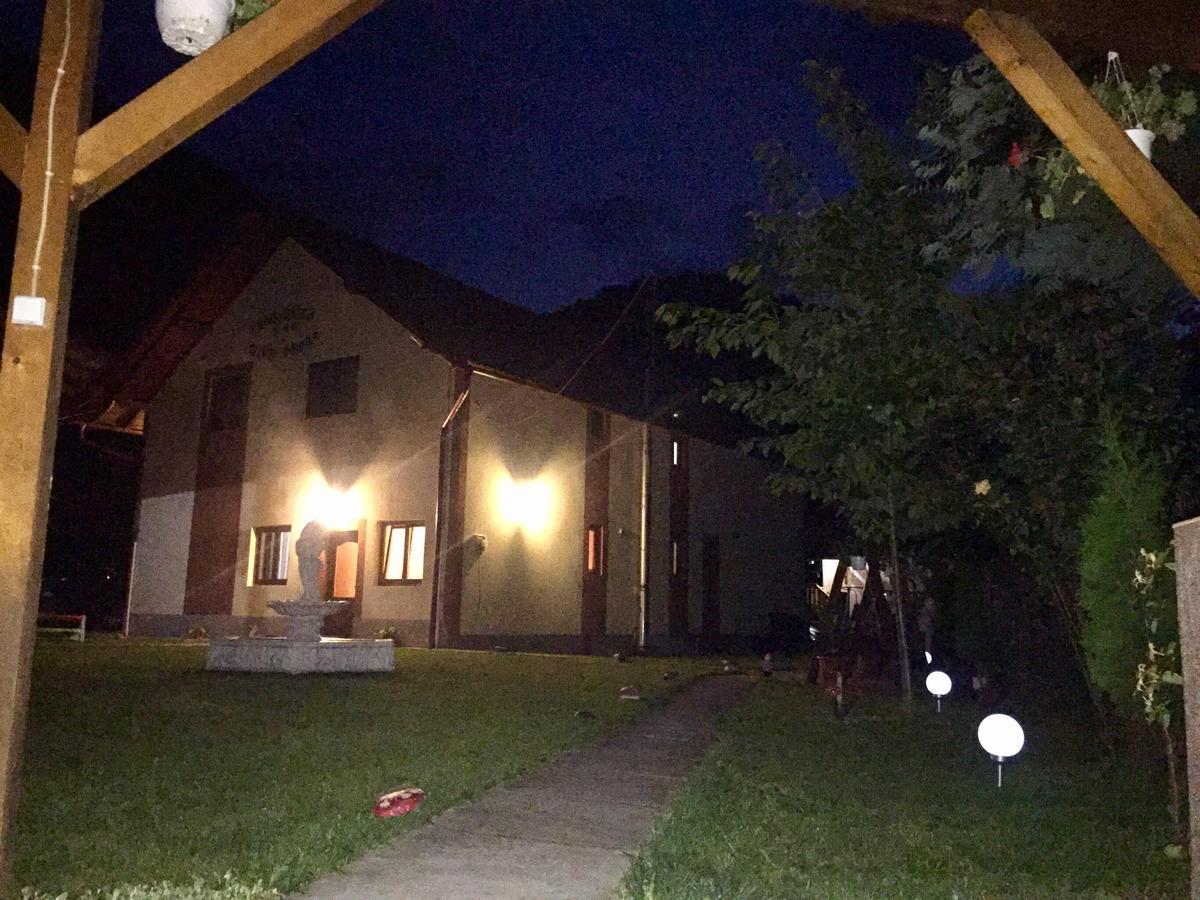Pensiunea Silva Dobra Sugag Luaran gambar