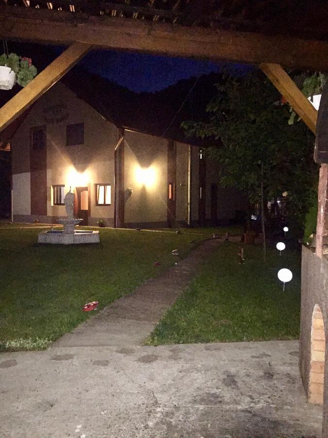 Pensiunea Silva Dobra Sugag Luaran gambar